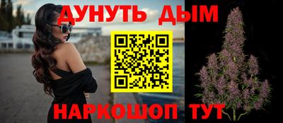 индика Обнинск