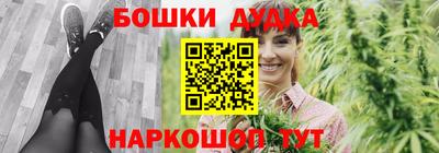 индика Обнинск