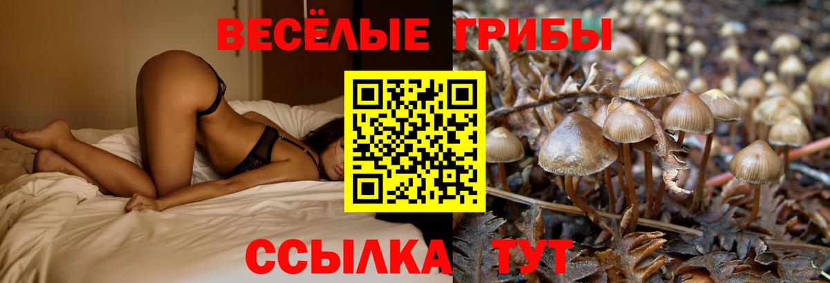 Псилоцибиновые грибы мицелий Прокопьевск