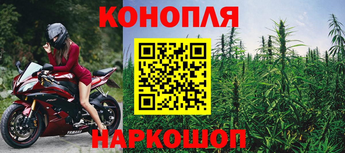 Бошки Шишки гибрид Прокопьевск